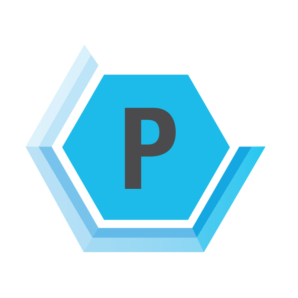 ISO Gruppe P