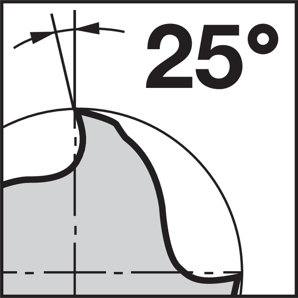 Pikto Rückspanwinkel: 25